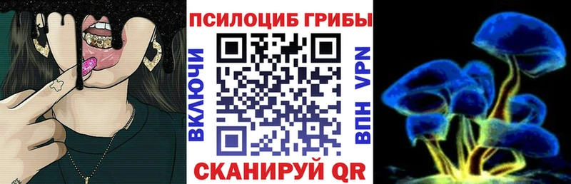 Галлюциногенные грибы Cubensis купить закладку Курчатов