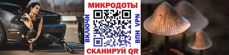 Галлюциногенные грибы GOLDEN TEACHER Курчатов
